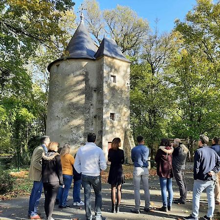 Chateau De Mornay Saint-Pierre-de-l'Isle エクステリア 写真