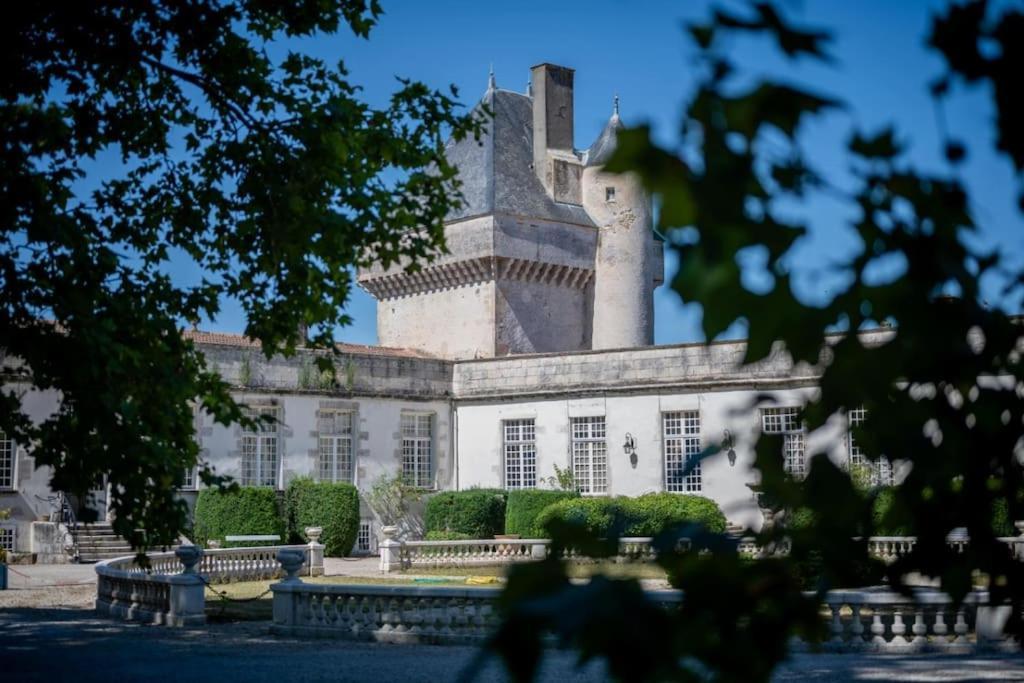 Chateau De Mornay Saint-Pierre-de-l'Isle エクステリア 写真
