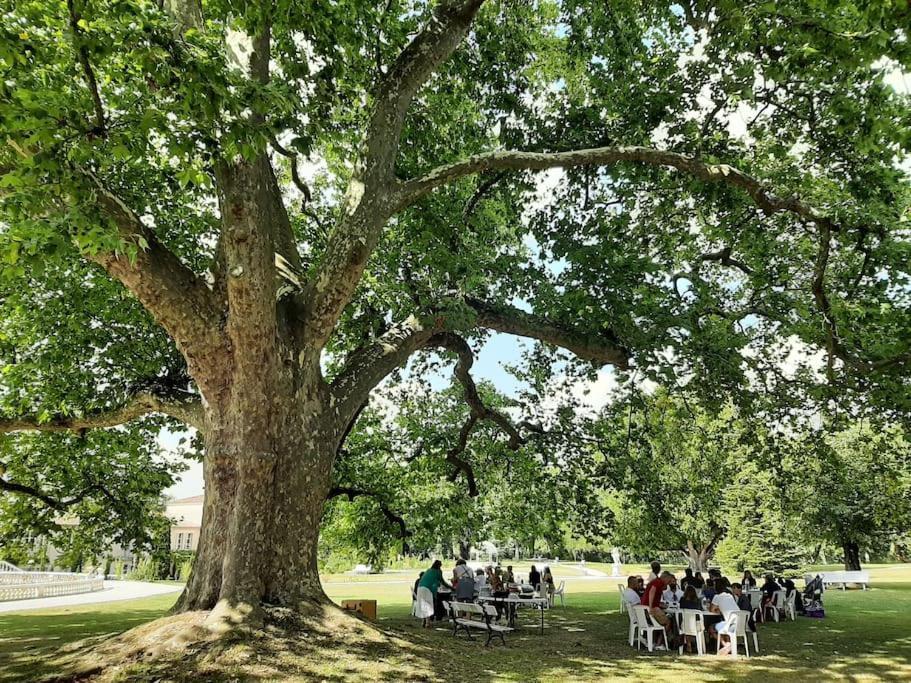 Chateau De Mornay Saint-Pierre-de-l'Isle エクステリア 写真