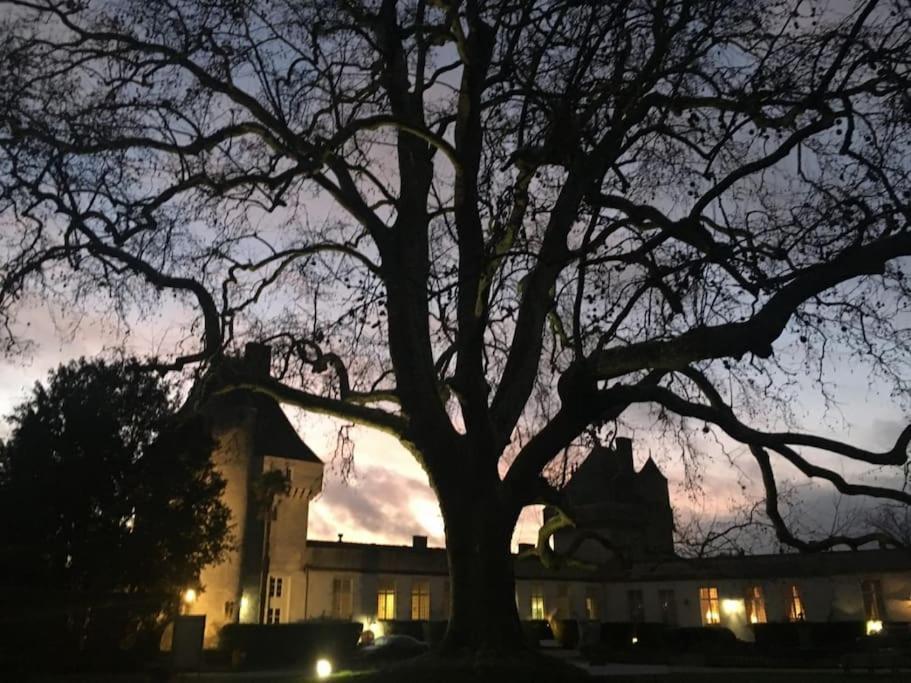 Chateau De Mornay Saint-Pierre-de-l'Isle エクステリア 写真