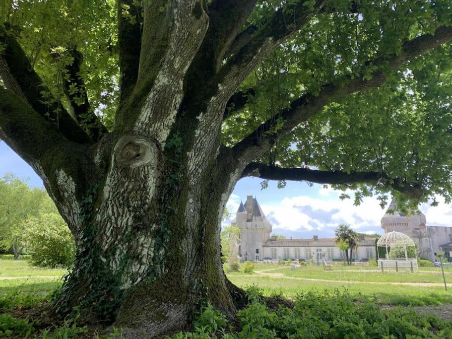 Chateau De Mornay Saint-Pierre-de-l'Isle エクステリア 写真